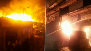 Pune: पुण्यातील भवानी पेठ परिसरातील फर्निचरच्या गोदामाला आग; अग्निशमन दलाच्या 18 गाड्या घटनास्थळी दाखल, Watch Video