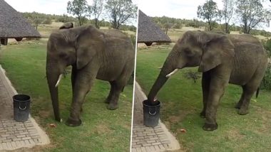 Viral Video: काय सांगता! चक्क हत्तीने कचराकुंडीत उचलून टाकला कचरा, पहा व्हिडिओ