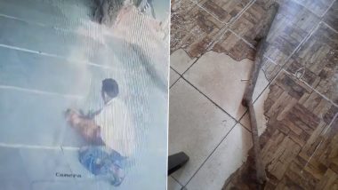 Mira-Bhayandar Shocker! मीरा-भाईंदरमध्ये माणूसकीला काळीमा फासणारी घटना; 3 जणांनी कुत्र्याचा गळा दाबून केली हत्या, घटना CCTV कॅमेऱ्यात कैद, Watch Video