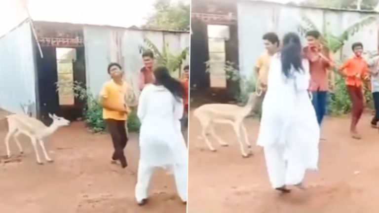 Viral Video: धार्मिक गाण्यावर हरणाच्या पिल्लाचा थिरकताना व्हिडिओ व्हायरल, पहा पोस्ट