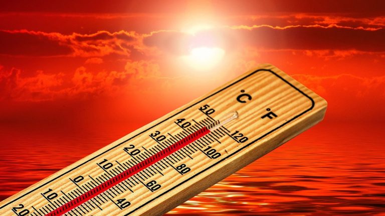 Egypt's Temperature: हाय गर्मी !  इजिप्त देशामध्ये तापमान विक्रमी उंच्चाकावर, हवामान विभागाकडून 50 अंशाची नोंद