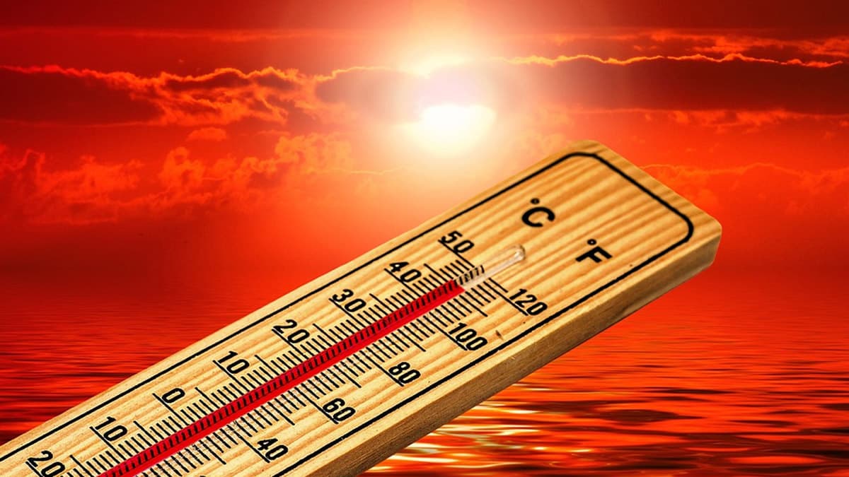 Annual Climate Summary 2024: भारतामध्ये 2024  वर्षी तापमान सरासरी पेक्षा जास्त राहिल्याचा अहवाल