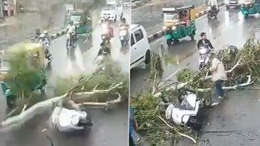 Shocking Video: राजस्थानच्या जोधपूरमध्ये चालत्या स्कूटीवर झाड पडलं, तीन जण जखमी