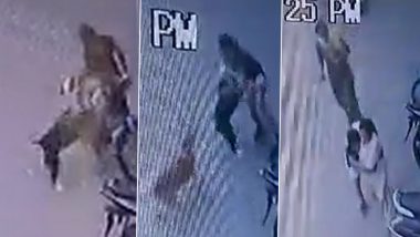 Pitbull Attack: सायकलस्वार मुलीवर पिटबुल कुत्र्याचा हल्ला, मेरठ येथील घटना सीसीटीव्हीत कैद, व्हिडिओ व्हायरल