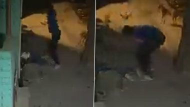 Delhi Girl Murder Video: दिल्ली पुन्हा हादरली! शहरातील शाहाबाद डेअरी परिसरात 16 वर्षीय तरुणीची दगडाने ठेचून हत्या; घटना CCTV कॅमेऱ्यात कैद