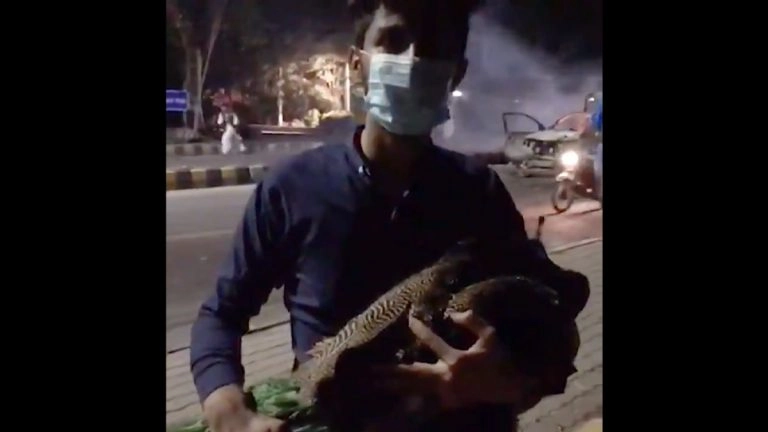 Pakistan Voilance: इम्रान खानच्या समर्थकांनी लाहोर कॉर्प्स कमांडरच्या घरातून चोरले मोर