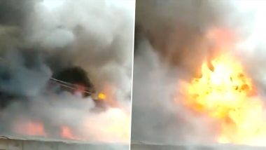 Thane: ठाण्यातील भिवंडी परिसरातील गोदामाला भीषण आग, आग विझवण्यासाठी अग्निशमन दलाच्या 6 गाड्या घटनास्थळी दाखल, Watch Video