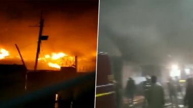Pune Fire: पुण्यातील गोलमार्केटमधील कागदाच्या गोदामाला भीषण आग (Watch Video)