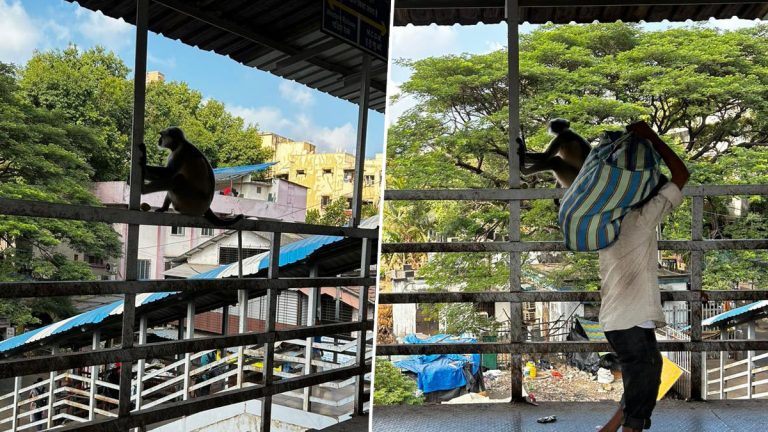 Monkey At Malad Station: मालाड रेल्वेस्थानकावर माकडाच्या मर्कटलीला