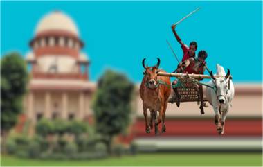 SC Allowing Bull-Cart Racing: 'घाटात होणार राडा', सर्वोच्च न्यायालयाकडून 'बैलगाडा शर्यत' आणि Jallikattu खेळास परवानगी कायम