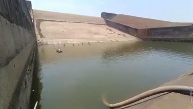 Chhattisgarh Officer Suspended: छतीसगडमध्ये जलाशयातून पाणी खाली करण्याच्या प्रकरणी एका अधिकाऱ्याचे निलंबन, एकाच्या पगारातून कापणार पैसे