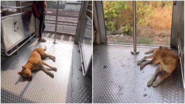 Dog Takes Mumbai Local: अजब कुत्रा, प्रवासासाठी वापरतो मुंबई लोकल, व्हिडिओ पाहून नेटकऱ्यांनी दिली प्रतिक्रिया (Watch Video)