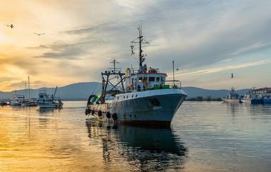 Fishing Boat Capsizes: हिंद महासागरात उलटली चिनी मच्छिमारांची बोट, 39 जण बेपत्ता