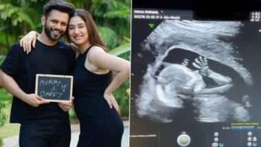 Disha Parmar-Rahul Vaidya Announce Pregnancy: राहुल वैद्य-दिशा परमार यांनी  Ultrasound Clip शेअर करत दिली बाळाच्या आगमनाची गोड बातमी (Watch Video)