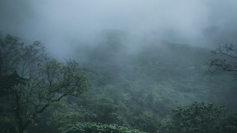 Monsoon Update: आनंदाची बातमी, मान्सूनचे केरळात आगमन, लवकरच राज्यात लावणार हजेरी