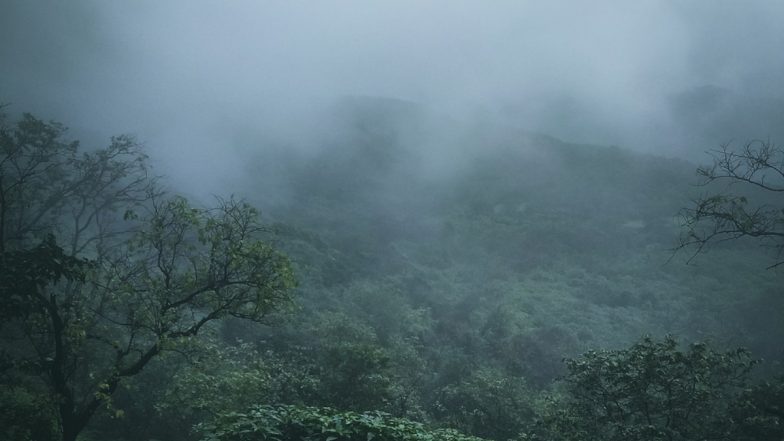 Weather Forecast: राज्यात मुसळधार पाऊस,  पुढचे 48 तास महत्त्वाचे