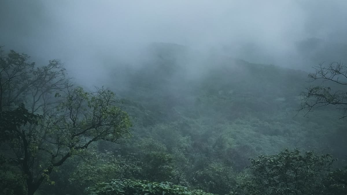 Unseasonal Rains: अवकाळी पावसाने उत्तर महाराष्ट्रात 12 जणांचे मृत्यू; नाशिकला सर्वाधिक फटका