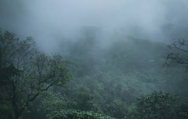 Maharashtra Rain Update: येत्या 3-4 तासांत कोल्हापूर, पुणे, लातूरसह अनेक ठिकाणी विजांच्या कडकडाटासह हलक्या ते मध्यम पावसाची शक्यता