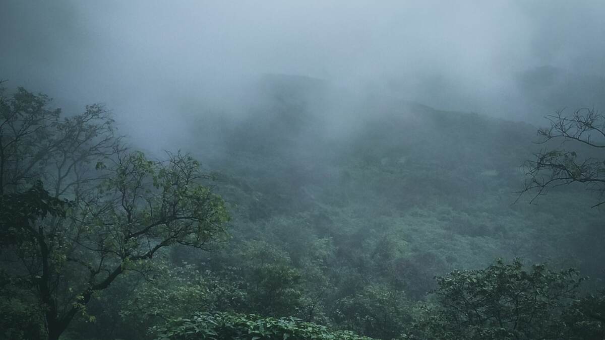 Maharashtra Weather Update: महाराष्ट्रात अनेक ठिकाणी 31 मे पर्यंत मुसळधार पावसाची शक्यता; जाणून घ्या जिल्हानिहाय अंदाज