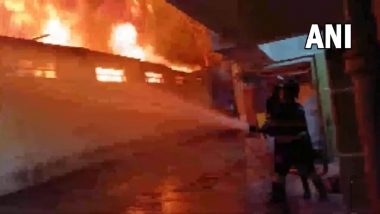 Pune: गोदामाला लागलेल्या आगीत तिघांचा मृत्य, पुणे येथील वाघोली परिसरातील घटना (Watch Video)