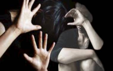 Sexual Attack On Infant: काकाने केला 2 वर्षाच्या चिमुरडीवर लैंगिक अत्याचार; न्यायालयाने सुनावली 20 वर्षांच्या तुरुंगवासाची शिक्षा