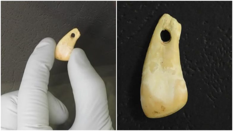 Siberian Woman Old  Pendant: शास्त्रज्ञांना सापडला सायबेरियन महिलेचा 20,000 वर्षांपूर्वीचा दागिना; DNA द्वारे पटली ओळख