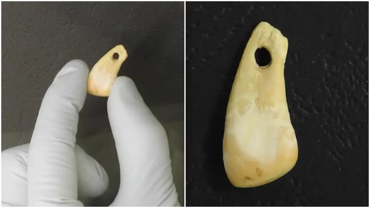 Siberian Woman Old &nbsp;Pendant: शास्त्रज्ञांना सापडला सायबेरियन महिलेचा 20,000 वर्षांपूर्वीचा दागिना; DNA द्वारे पटली ओळख