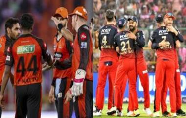 RCB vs SRH, IPL 2024 Pitch Report: एम चिन्नास्वामी स्टेडियमवर कोणाला मिळणार मदत, फलंदाज की गोलंदाज? जाणून घ्या खेळपट्टीचा अहवाल