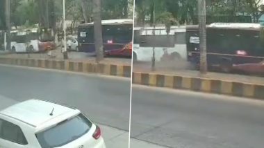 Mumbai Road Accident Video: मुंबईत दोन बसची धडक, घटनेत डॉक्टरचा मृत्यू, पाहा व्हिडीओ