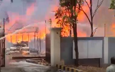 Fire Breaks Out at Sahithi Pharma Company: विशाखापट्टणममधील फार्मा लॅबच्या रिअॅक्टरमध्ये भीषण स्फोट, दोघांचा मृत्यू; 4 जण जखमी