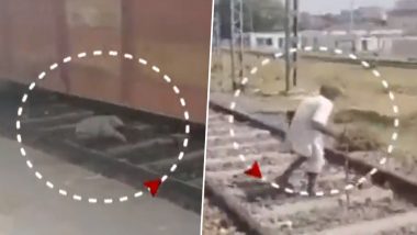 Viral Video: गयामध्ये वृद्धाच्या अंगावरून गेली संपूर्ण मालगाडी; पहा अंगावर शहारा आणणारा व्हिडिओ, Watch