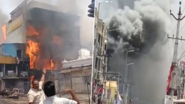 Tirupati: तिरुपती येथे फोटो फ्रेम्स निर्मिती युनिटला आग; Watch Video