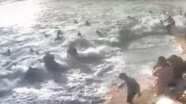 Cyclone Biparjoy: चक्रीवादळ बिपरजॉयमुळे समुद्रात उसळल्या महाकाय लाटा; गणपतीपुळे येथे किनाऱ्यावरील पर्यटकांना तडाखा (Watch Video)