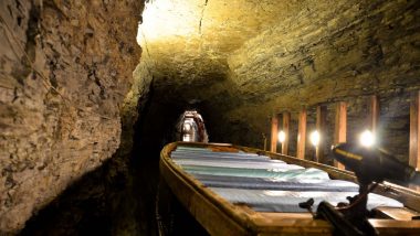 New York Lockport Cave: न्यूयॉर्कच्या लॉकपोर्ट गुहेच्या आत 36 पर्यटक असलेली बोट उलटली; 12 लोकांना वाचवण्यात यश