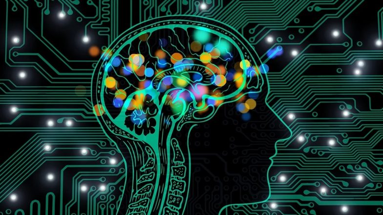 AI Death Calculator: आता जाणून घेता येईल नक्की कधी होईल तुमचा मृत्यू; एआय टूल व्यक्त करणार अंदाज, जाणून घ्या सविस्तर