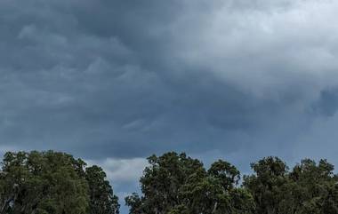 Maharashtra Rain Update:  राज्यात मुसळधार तर कोकणात अतिवृष्टीची शक्यता, हवामान विभागाने वर्तवला अंदाज