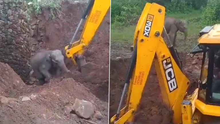 Elephant Rescue Video: केओंझार जिल्ह्यात जेसीबीच्या मदतीने हत्तीची सुटका, पाहा व्हिडिओ