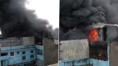 Delhi Shoe Factory Fire Video: दिल्लीच्या उद्योग नगरमधील बुटांच्या कारखान्याला आग, घटनास्थळी अग्निशमन दलाच्या गाड्या