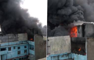 Delhi Shoe Factory Fire Video: दिल्लीच्या उद्योग नगरमधील बुटांच्या कारखान्याला आग, घटनास्थळी अग्निशमन दलाच्या गाड्या