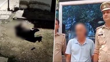 Kanpur Bestiality Video: अगदी वाह्यात प्रकार, कॅमेरात झाला कैद, मुक्या जनावरासोबत केलं हे कृत्य (Watch VideO)