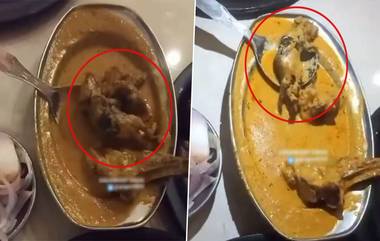 Dead Rat Found In Dish Served: लुधियाना येथील प्रसिद्ध रेस्टॉरंटमध्ये ग्राहकाला दिलेल्या भाजीमध्ये सापडला मृत उंदीर; Watch Video