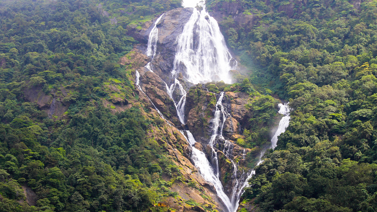 Dudhsagar Waterfalls: गोव्यातील प्रसिद्ध दूधसागर धबधब्यावर पर्यटकांना बंदी