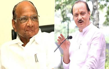 Ajit and Sharad Pawar Faction Meeting: अजित पवार आणि शरद पवार या दोन्ही गटांची बैठक 5 जुलैला, आमदार कोणाला देणार पाठींबा ?