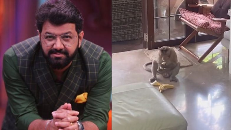 बोरिवलीतल्या श्रीकृष्ण नगर मध्ये SGNP मध्ये माकडांचा हैदोस; अवधूत गुप्ते यांनी व्हिडिओ शेअर करत मांडली व्यथा