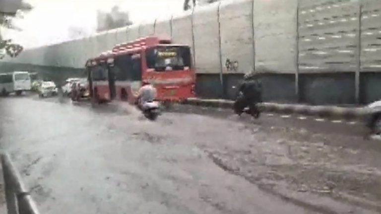 Mumbai Rain: मुंबईमध्ये पावसाचा हाहाकार; शहरात पाणी साचल्याने हिंदमाता जंक्शन, दादर टी.टीसह अनेक मार्ग वाहतुकीसाठी बंद