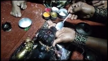 Nandi Drinking Milk: नंदी दूध पितो, लातूर येथील घटनेचा Video Viral