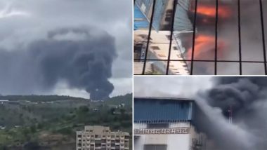 Pune Fire: पुण्यात येवळेवाडी भागात गोदामाला आग; अग्नीशमन दल घटनास्थळी दाखल (Watch Video)