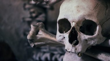 Human Skull Found On River Bank: नदी किनारी सापडल्या 4 मानवी कवट्या, सांगाडे मात्र गायब;  धक्कादायक घटनेने हादरलं कोल्हापूर
