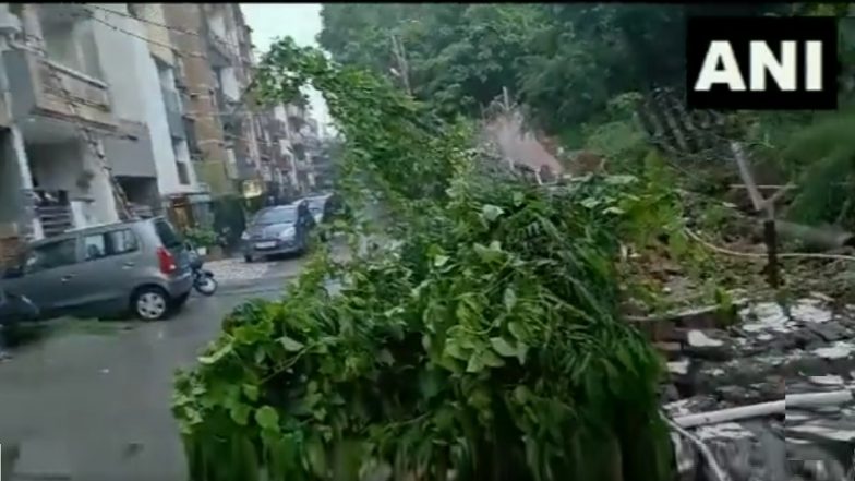 Tibbia College Society Wall Collapsed: दिल्ली येथे मुसळधार पाऊस, टिब्बिया कॉलेज सोसायटीमधील भिंत कोसळू एक महिला ठार
