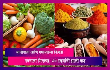 Vegetable Price: पावसामुळे भाजीपाला आणि मसाल्याच्या किंमती गगनाला भिडल्या, 40 टक्क्यांनी झाली वाढ